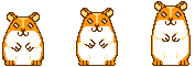 Three dancing hamsters
